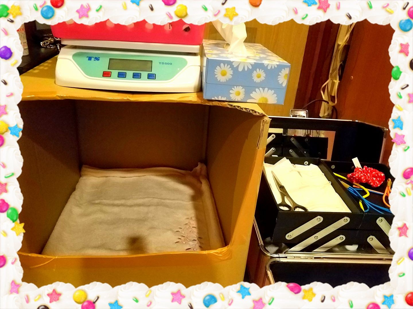 プリティードッグハウス